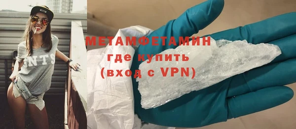 прущие грибы Верея