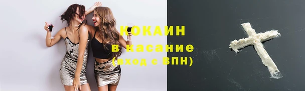 прущие грибы Верея