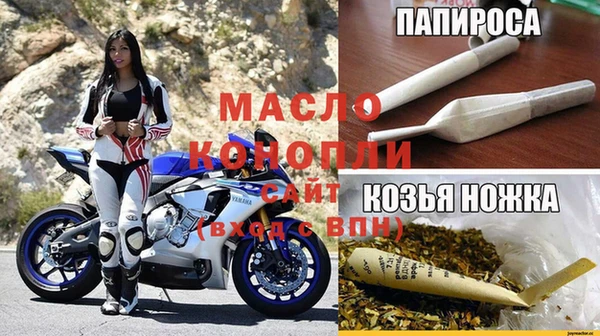 прущие грибы Верея