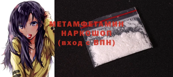 прущие грибы Верея