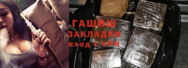 прущие грибы Верея