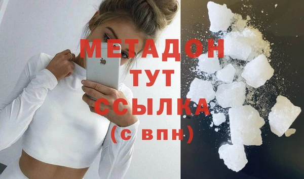 прущие грибы Верея