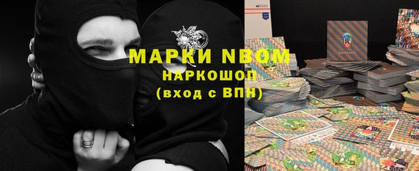 прущие грибы Верея