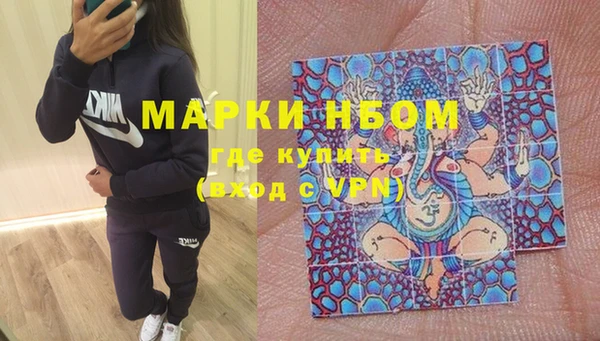 прущие грибы Верея