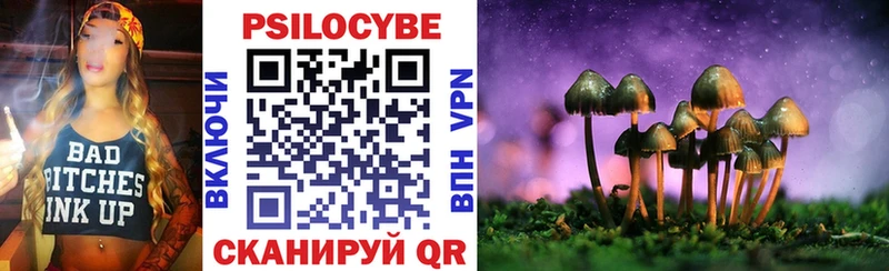 Купить закладки  Козьмодемьянск  Галлюциногенные грибы прущие грибы 